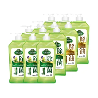 【茶樹莊園】超濃縮洗碗精12入-茶樹海鹽/茶樹檸檬(1000g/入-12入/箱-箱購)