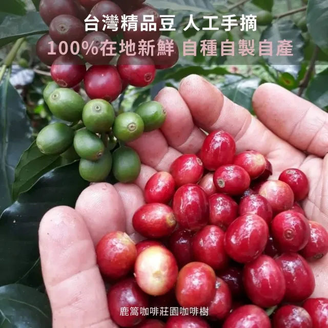 【台灣農林】鹿篙濾掛咖啡 台灣豆(10gx7入/盒)