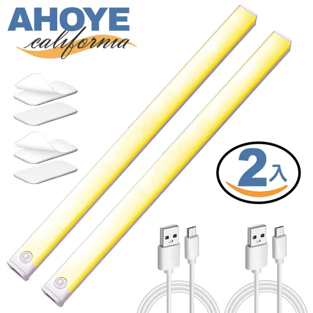 【AHOYE】可調光感應式櫥櫃燈 2入(感應燈 玄關燈 衣櫥燈 樓梯燈)