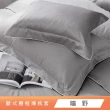 【HongYew 鴻宇】500織 SUPIMA匹馬棉 素色 歐式壓框薄枕套-多款任選(2入)