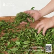 【沁意】東方美人茶包30入經濟包(台灣坪林自然栽培特色茶/重發酵烏龍)