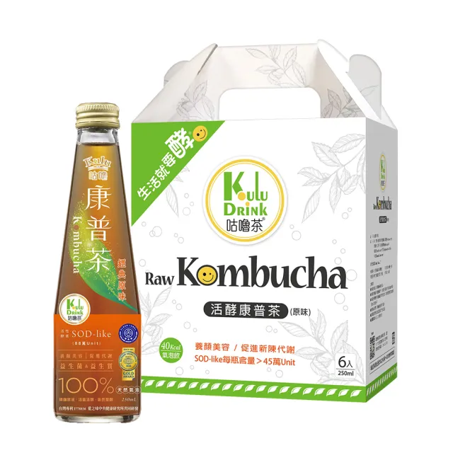 【KuluDrink咕嚕茶】咕嚕康普茶 250ml 6入禮盒(氣泡飲 康普茶 機能飲 益生菌)