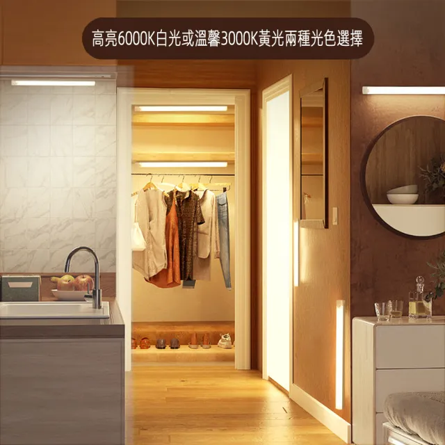 【月陽】高亮21LED充電式充電插電兩用無段調光磁吸帶開關感應燈小夜燈手電筒(YMM005)