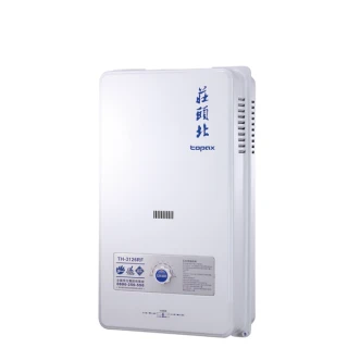 【莊頭北】10L屋外型自然排氣熱水器(TH-3106RF 原廠保固 基本安裝)