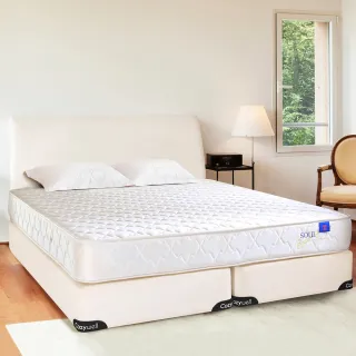 【德泰 索歐系列】雅致620 彈簧床墊-雙大6尺(送保潔墊)
