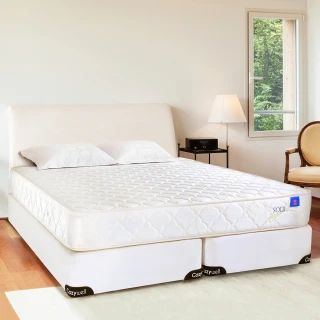 【德泰】奢華900 彈簧床墊-單人3尺+Onigiri 人體工學記憶枕-中(送保潔墊)