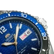 【ORIENT 東方錶】Orient Mako系列 20週年限量 潛水機械腕錶 / 41.8mm(RA-AA0822L)