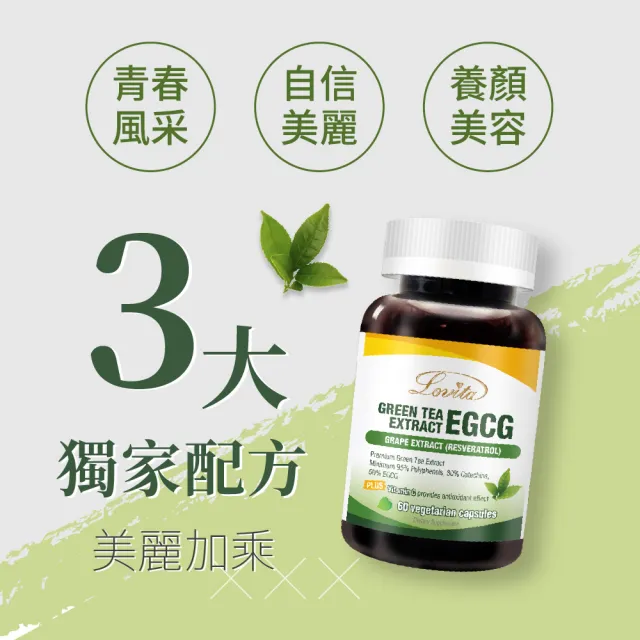 【Lovita 愛維他】綠茶兒茶素EGCG白藜蘆醇素食膠囊 60顆(兒茶素 綠茶多酚)