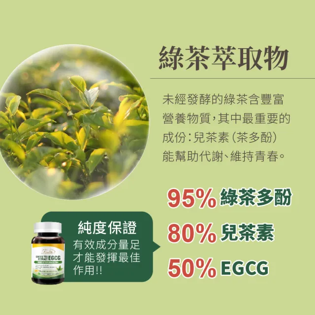 【Lovita 愛維他】綠茶兒茶素EGCG白藜蘆醇素食膠囊 60顆(兒茶素 綠茶多酚)