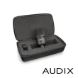 【AUDIX】A131 電容式麥克風(公司貨)