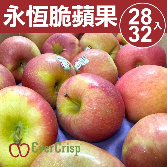【甜露露】美國EVERCRISP永恆脆蘋果28-32入x1箱(8.5-9kg±10%)