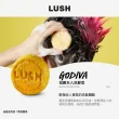 【LUSH 嵐舒】經典洗髮皂 柔順 潤澤 55g 多款任選(伯爵夫人/摩洛哥堅果/魔髮天使/我愛蜜糖兒/椰香白米)