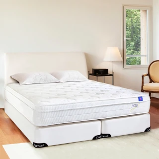 【德泰 索歐系列】乳膠620 彈簧床墊-雙人5尺(送緹花對枕)