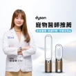 【dyson 戴森】TP09 Purifier Cool Formaldehyde 二合一甲醛偵測空氣清淨機循環風扇(白金色)二入組(超值組)