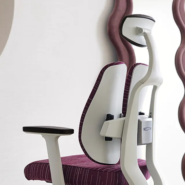 【HAW JOU 豪優】DUOREST DT-D2-200W 白框乳膠雙背椅(人體工學設計 時刻智能護腰 嶄新的體驗 雙靠背座椅)