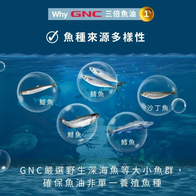 【GNC 健安喜】三倍魚油迷你軟膠囊 120粒/瓶(93%超高濃度/EPA+DHA/無腥味/Omega-3/好吞/循環吸收)
