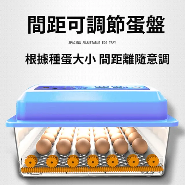 110V孵化機 36枚孵蛋器 自動翻蛋(雙電源可接12V全自動控溫 小雞孵化器)