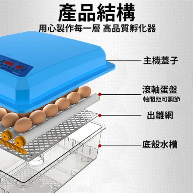 110V孵化機 36枚孵蛋器 自動翻蛋(雙電源可接12V全自動控溫 小雞孵化器)