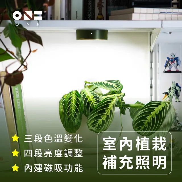 【ONF 光之間】MIST O 植霧光 隨吸植物燈(綠)