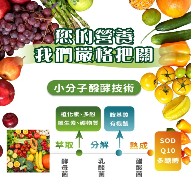 【大漢酵素】V52蔬果維他植物醱酵液 600MLX1瓶(免運費、原廠出貨)