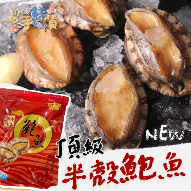 【2026】帶殼鮑魚推薦ptt》10款高評價人氣品牌排行榜 | BALIMAN情報局