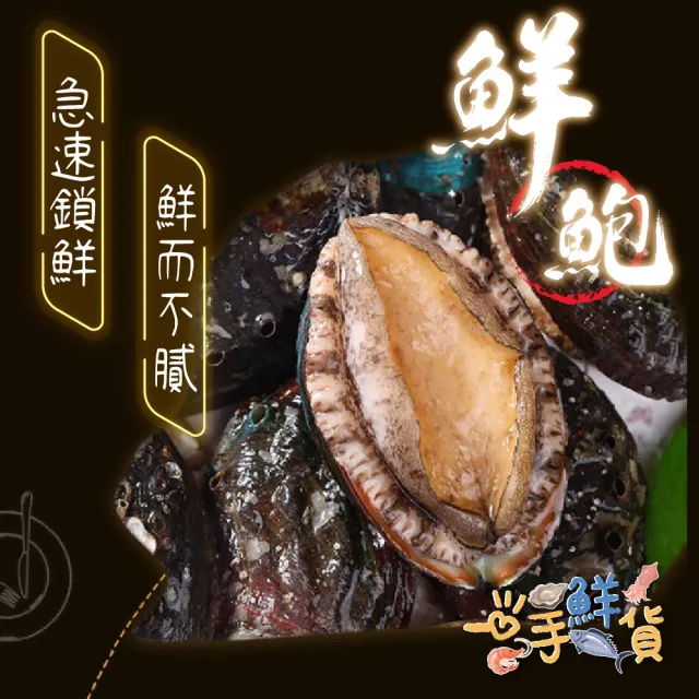 【一手鮮貨】熟凍半殼鮑魚(3包組/單包12顆/帶殼鮑魚)