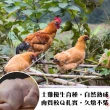 【海肉管家】台灣土雞全雞(1隻_0.9-1.2Kg/隻)