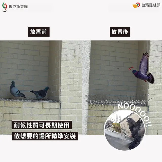 【台灣雞絲頭】防鳥刺(防鳥｜驅趕)