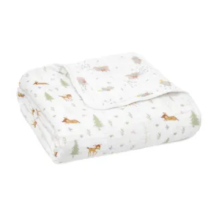 【aden+anais】官方直營 Disney經典四層紗毯迪士尼夥伴 100%純棉親膚 小被被 送禮首選