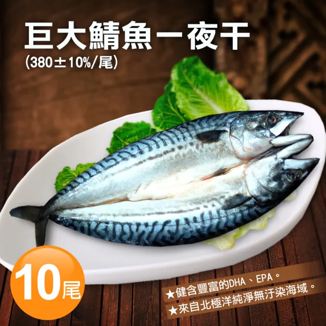 【築地一番鮮】北極洋海域鯖魚一夜干10尾(380g±10%/尾)