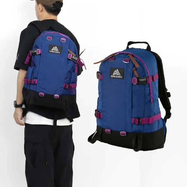 Gregory 後背包 22L ALL DAY V2.1 Backpack 藍 紫 CORDURA 抗撕裂 筆電包(1313651115)