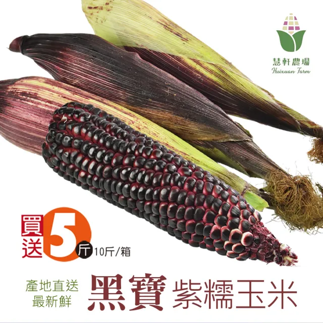 【慧軒農場】黑寶紫糯玉米｜買5斤再送5斤｜共10斤/箱(蔬菜/鮮甜/濃湯/清蒸/炭烤)