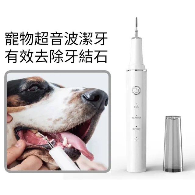 超音波寵物洗牙機(寵物去牙結石器 貓狗沖牙機  寵物牙膏牙刷 貓狗口腔清潔組寵物潔牙組)