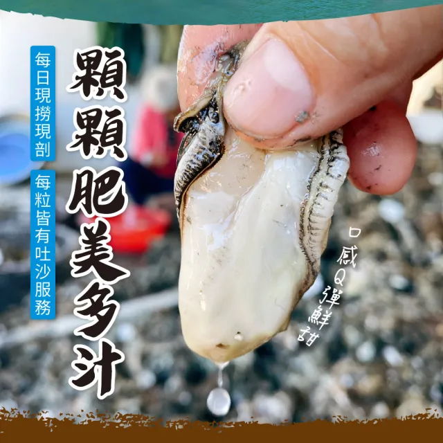 【好美農漁產】台灣友善養殖鮮撈蚵肉(4入組-無用藥天然活水養殖、冷藏)