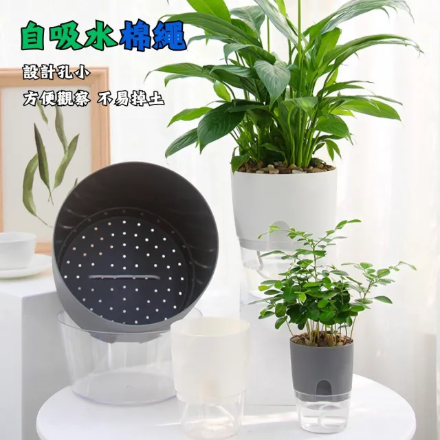 【品屋】透明自吸水花盆2.46吋A703(懶人花盆 自動澆水 吸水花盆 透明花盆 盆栽 植物花盆)