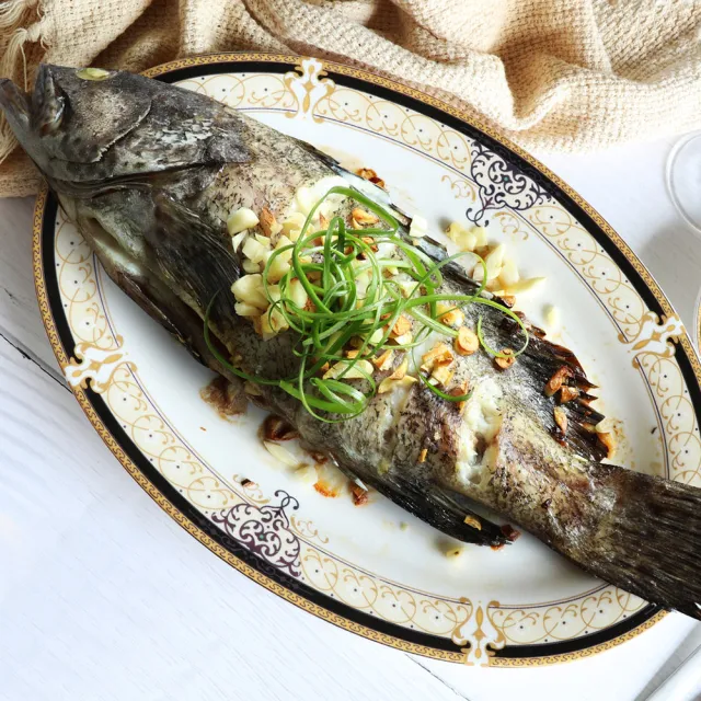 【築地一番鮮】特大活凍新鮮整尾石斑魚4尾(530g/尾)