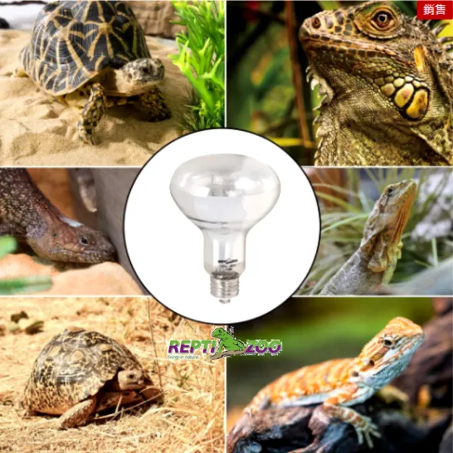 【REPTI ZOO】全光譜太陽燈 爬蟲加熱燈UVA UVB 160W取暖燈POWERSUN燈泡(REPTIZOO/適用陸龜.爬蟲類)