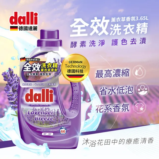 【Dalli德國達麗】全效護色去汙濃縮酵素洗衣精(薰衣草香氛/3.65L)