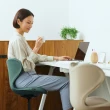 【Style】Chair SMC 健康護脊電腦椅 輕奢款+Recovery Pole 3D身形舒展棒(辦公椅/工作椅/休閒椅)