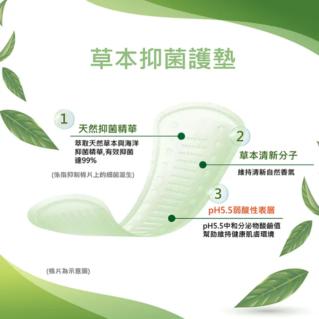 【Kotex 靠得住】6大包14.5cm 安全瞬吸護墊(56片x6包)