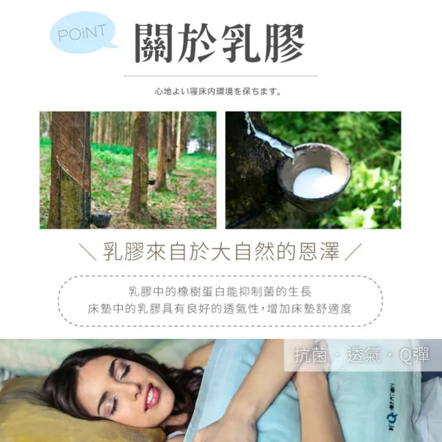 【ESSE 御璽】乳膠中空紗抑菌三線2.3護背硬式彈簧床墊(單人加大3.5尺)