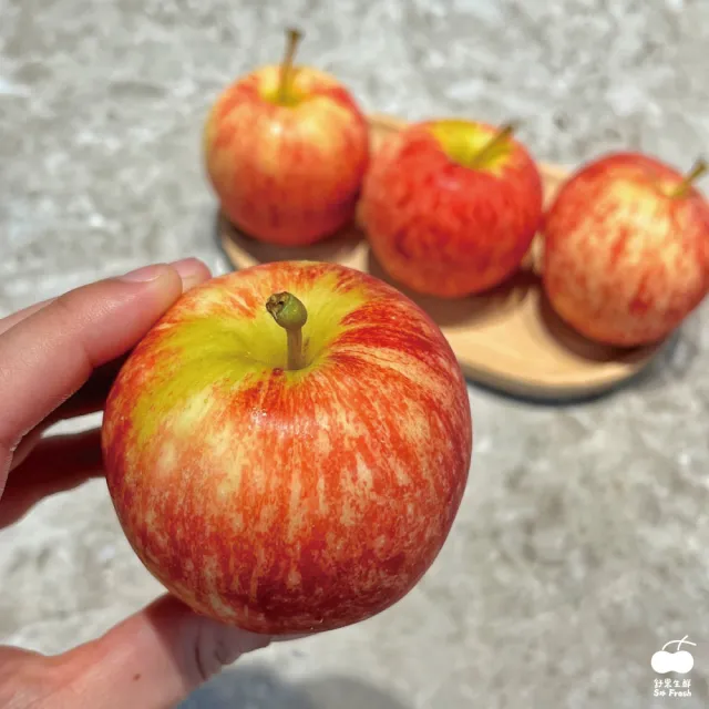 【舒果SoFresh】紐西蘭加拉Gala蘋果#150(150顆/約17.5kg/原裝箱)