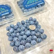 【舒果SoFresh】美國加州藍莓_約125克x6盒(冷藏配送_空運新鮮藍莓)