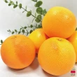 【舒果SoFresh】南非葡萄柚#55_14顆x1箱(約3.6kg/箱_冷藏配送)