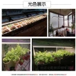 【JIUNPEY 君沛】3入組 T8 4呎 25W 全光譜一體式植物燈管(植物生長燈)