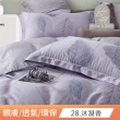 【DeKo岱珂】買一送一   40支100%純天絲床包枕套組 多款任選(雙/加 均一價)