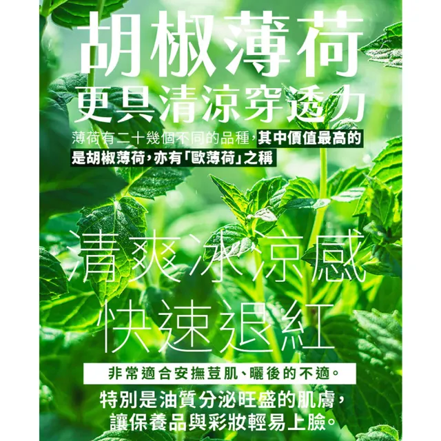 【古寶無患子】法國歐薄荷花水250ml(化妝水/保濕/舒緩/控油/微涼/臉部保養/濕敷)