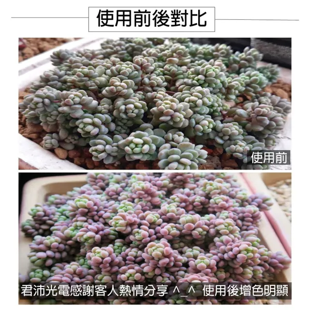 【JIUNPEY 君沛】2入組 T8 2呎12.5W紅藍混光植物燈管(植物生長燈)