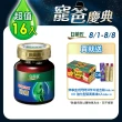 【白蘭氏】關鍵活躍雞精69ml*8入*2盒 共16入(添加水解第二型膠原蛋白 14日靈活有感)