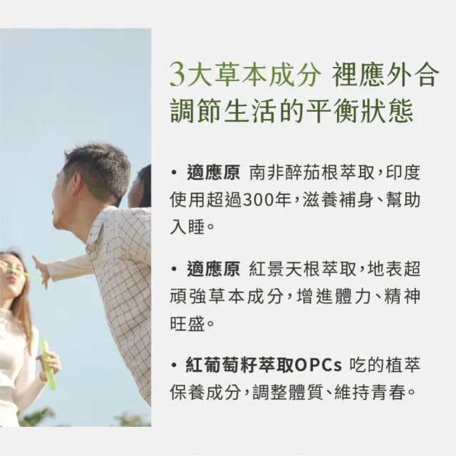 【德國 Natural Fit 活粒適】活力適膠囊 60粒(紅景天 南非醉茄 紅葡萄籽萃取 Q10 鎂 鋅 葉酸)